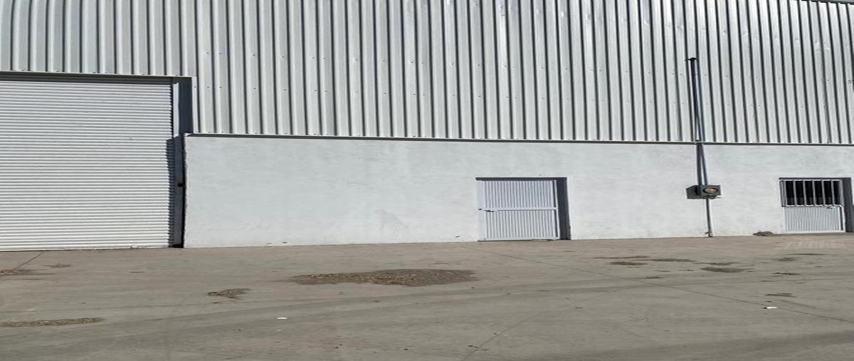 Foto de bodega en renta en  , oscar flores tapia, torreón, coahuila de zaragoza, 0 No. 05