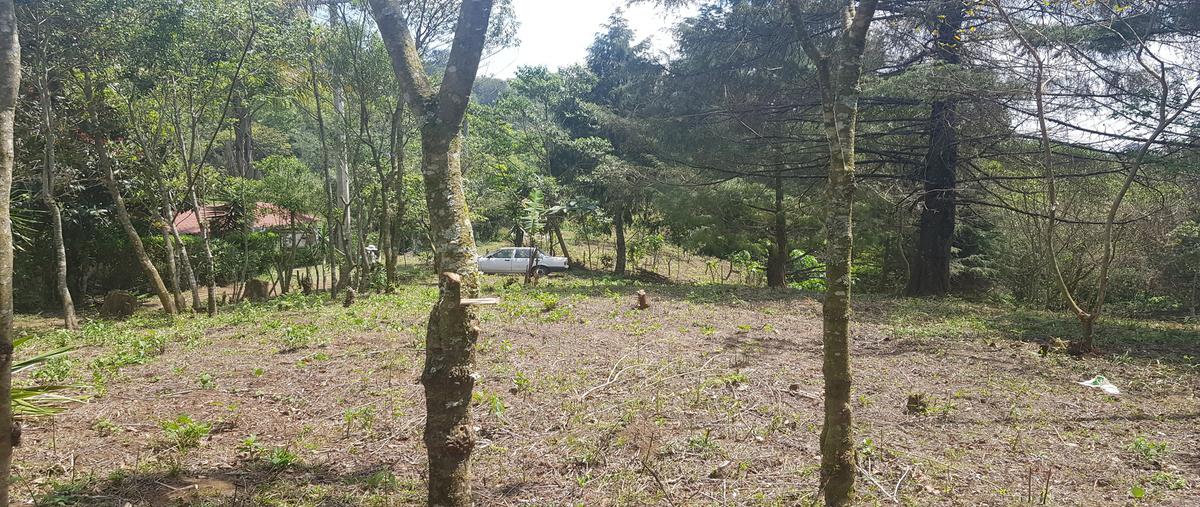 Foto de terreno habitacional en , otilpan, tlalnelhuayocan, veracruz de ignacio de la llave, 19369949 foto 01 Foto de terreno habitacional en venta en , otilpan, tlalnelhuayocan, veracruz de ignacio de la llave, 19369949 No. 01