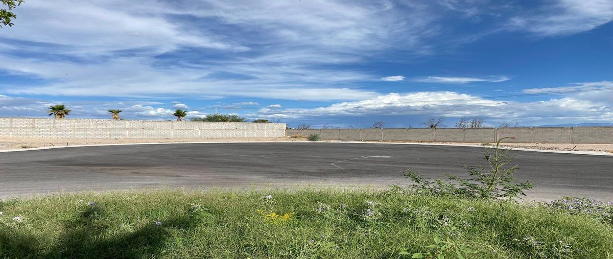 Foto de casa en venta en  , otto, torreón, coahuila de zaragoza, 0 No. 05