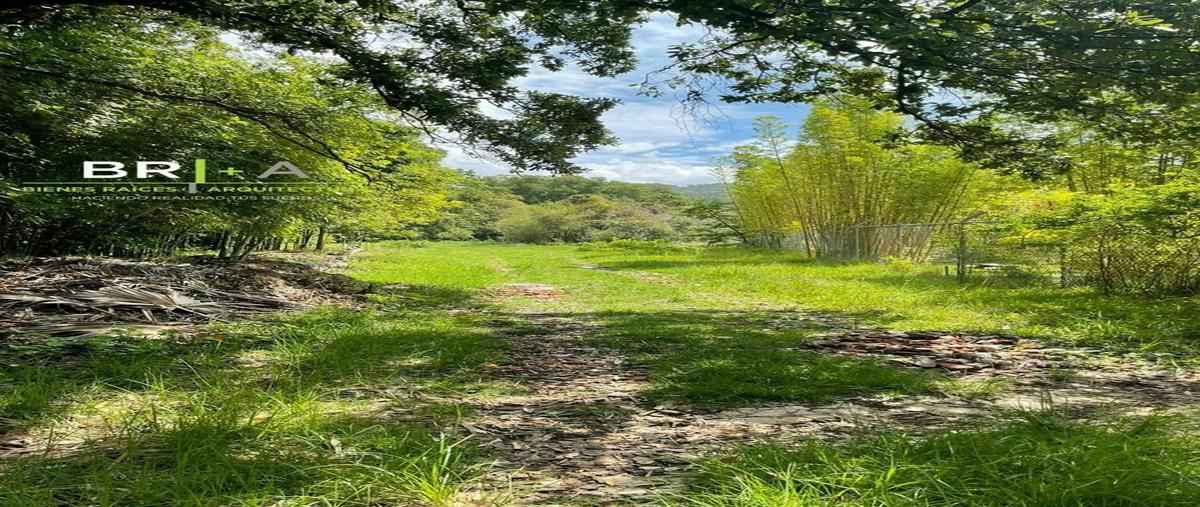 Foto de terreno habitacional en , otumba, valle de bravo, méxico, 26064303 foto 03 Foto de terreno habitacional en venta en , otumba, valle de bravo, méxico, 26064303 No. 03