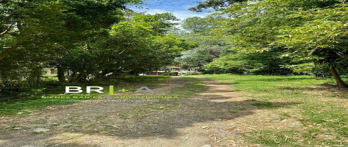 Foto de terreno habitacional en , otumba, valle de bravo, méxico, 26064303 foto 04 Foto de terreno habitacional en venta en , otumba, valle de bravo, méxico, 26064303 No. 04