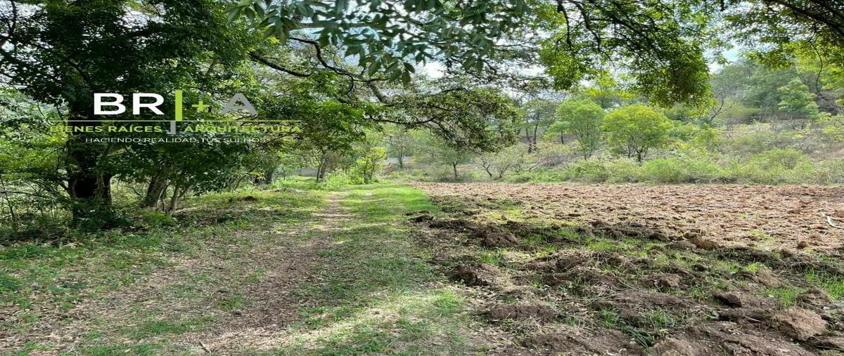 Foto de terreno habitacional en , otumba, valle de bravo, méxico, 26064303 foto 05 Foto de terreno habitacional en venta en , otumba, valle de bravo, méxico, 26064303 No. 05