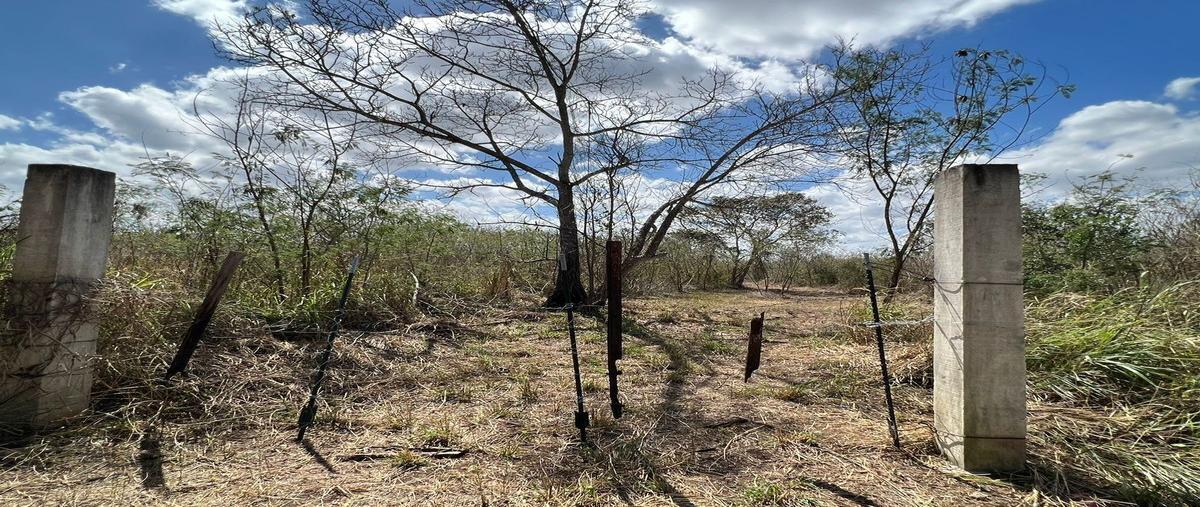 Foto de terreno habitacional en venta en  , oxcum, umán, yucatán, 26169282 No. 04