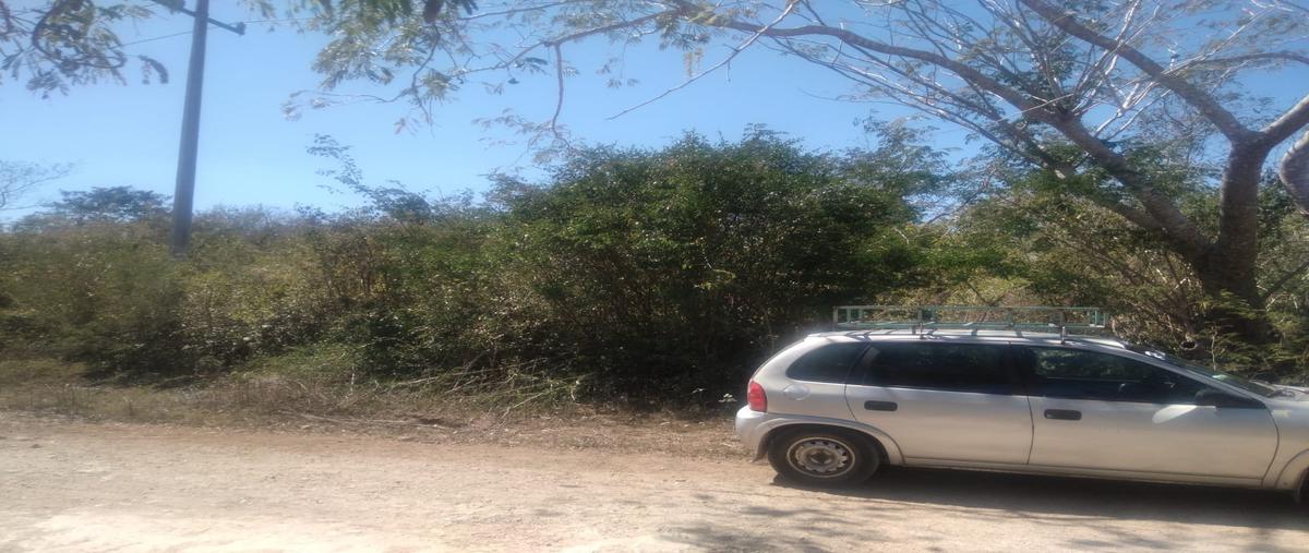 Foto de terreno habitacional en venta en oxcum whi294952, oxcum, umán, yucatán, 26222054 No. 03