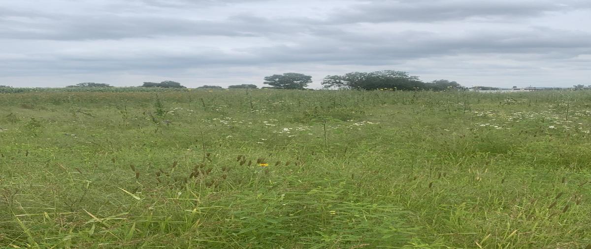 Foto de terreno habitacional en venta en oxtotipac-belem , santa maría coatlán, teotihuacán, méxico, 0 No. 03