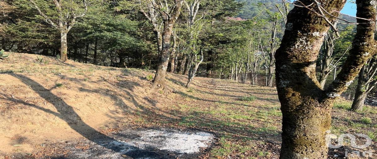 Foto de terreno habitacional en venta en oyameles , ignacio allende, huixquilucan, méxico, 30987365 No. 03