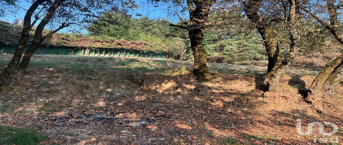 Foto de terreno habitacional en venta en oyameles , ignacio allende, huixquilucan, méxico, 30987365 No. 05
