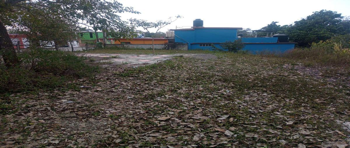 Foto de terreno habitacional en venta en  , ozuluama de mascareñas, ozuluama de mascareñas, veracruz de ignacio de la llave, 24941232 No. 05