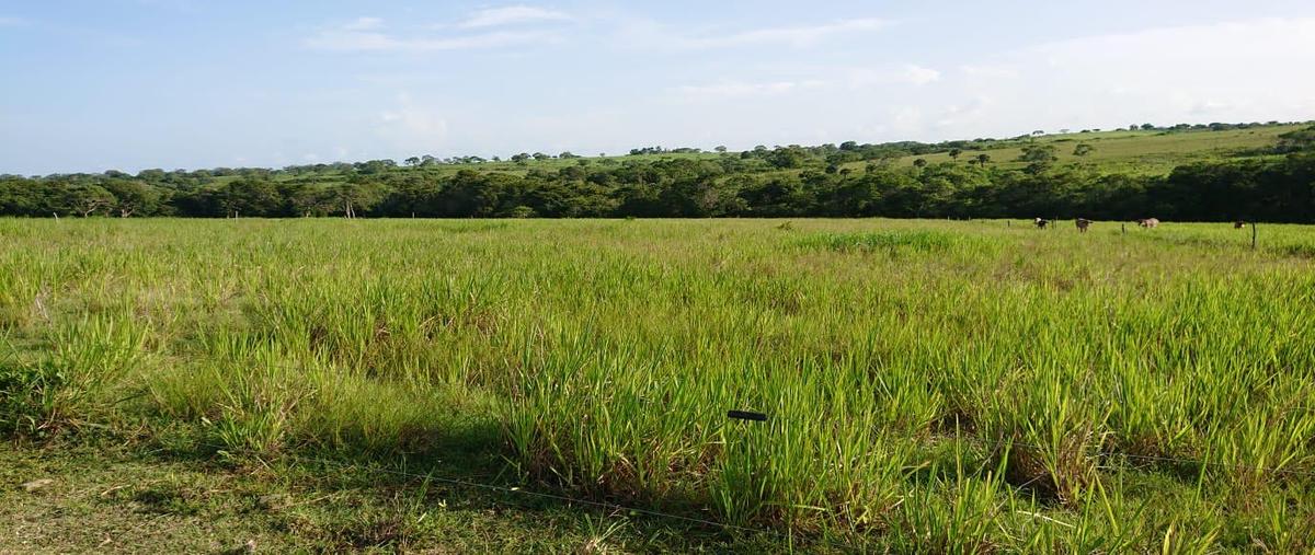 Foto de rancho en venta en  , ozuluama de mascareñas, ozuluama de mascareñas, veracruz de ignacio de la llave, 0 No. 04