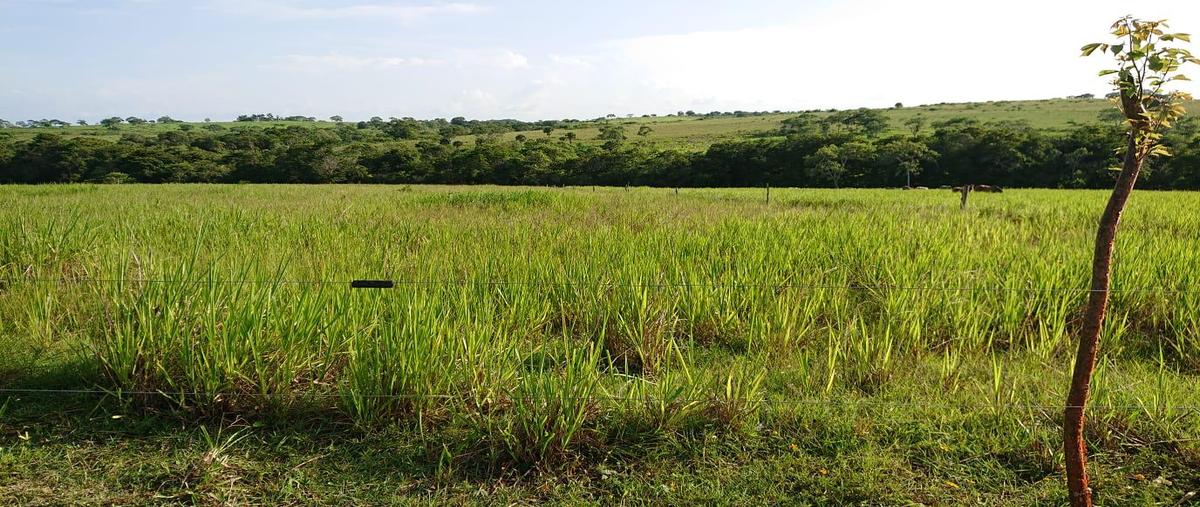 Foto de rancho en venta en  , ozuluama de mascareñas, ozuluama de mascareñas, veracruz de ignacio de la llave, 0 No. 05