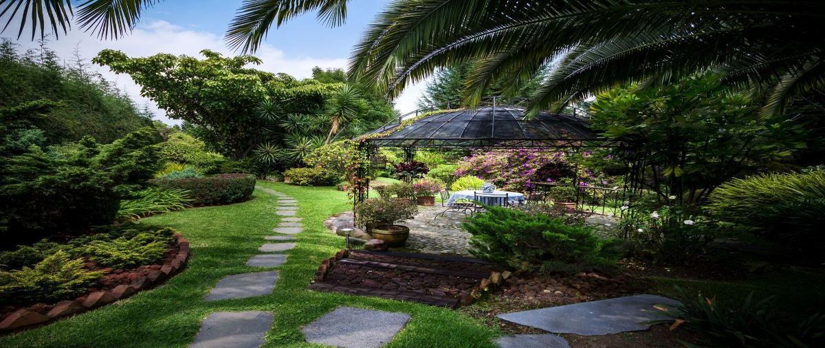 Foto de rancho en venta en ozumba , nepantla de sor juana inés, tepetlixpa, méxico, 11934594 No. 03