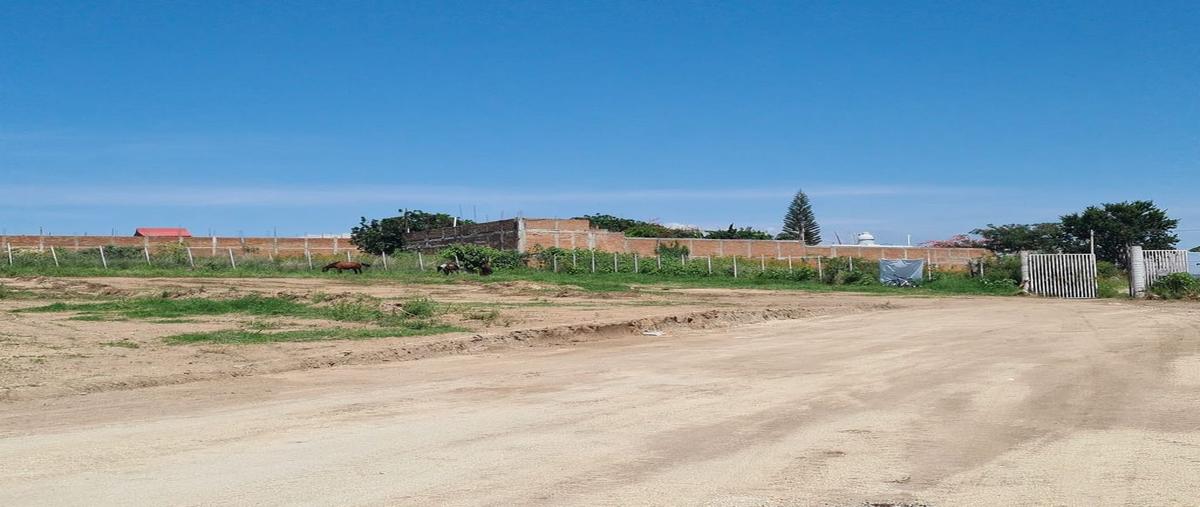 Foto de terreno habitacional en venta en p. de las orquideas , la magdalena, zapopan, jalisco, 0 No. 05