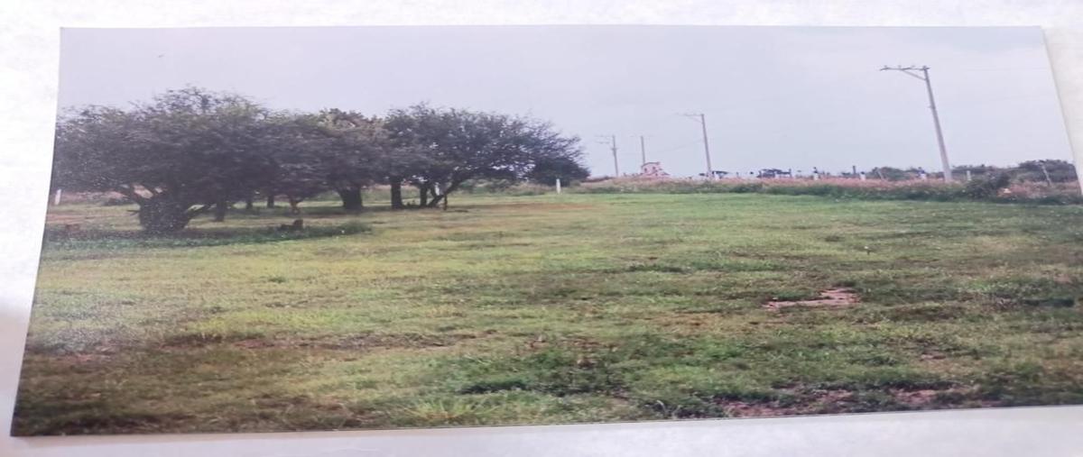 Foto de terreno habitacional en venta en p de los caballos , granjas fátima, aguascalientes, aguascalientes, 0 No. 03