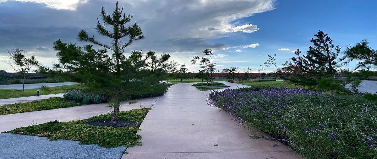 Foto de terreno habitacional en venta en p del cultivo , la espiga, querétaro, querétaro, 0 No. 05