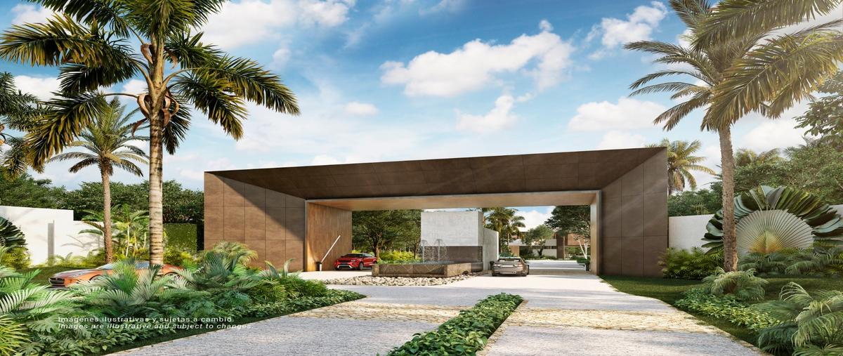Foto de terreno habitacional en venta en  , paamul, solidaridad, quintana roo, 23049887 No. 03