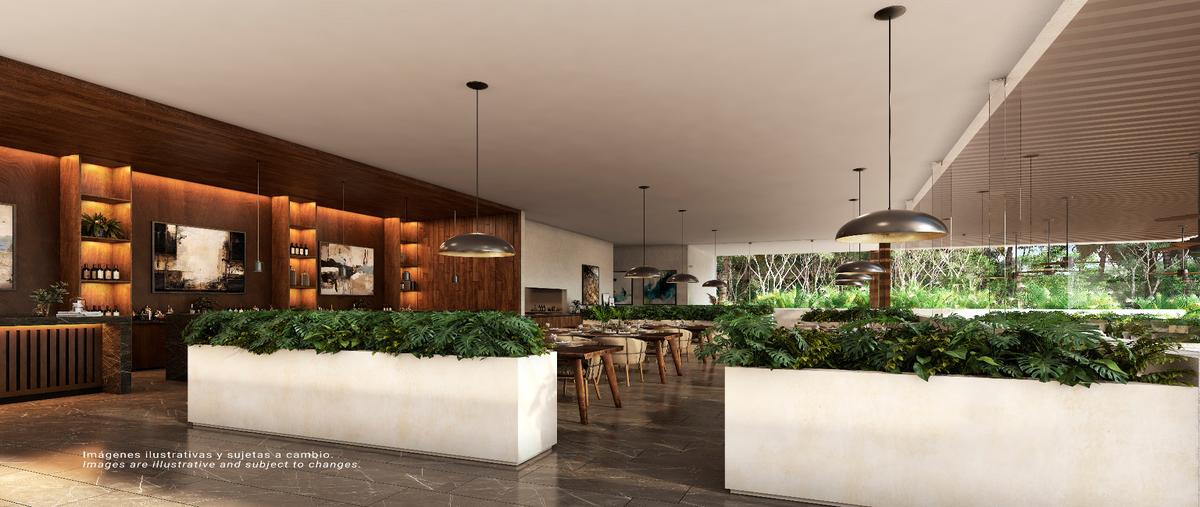 Foto de terreno habitacional en venta en  , paamul, solidaridad, quintana roo, 27856052 No. 05