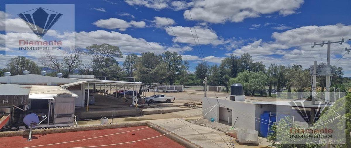 Foto de terreno comercial en venta en  , pabellón de arteaga centro, pabellón de arteaga, aguascalientes, 0 No. 04