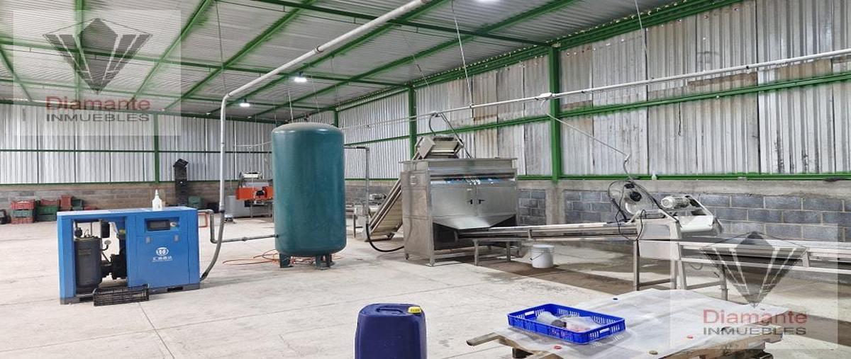 Foto de terreno comercial en venta en  , pabellón de arteaga centro, pabellón de arteaga, aguascalientes, 0 No. 05