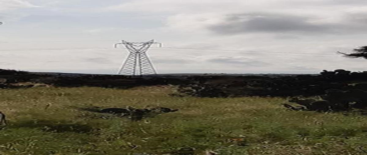 Foto de casa en venta en  , pabellón de hidalgo, rincón de romos, aguascalientes, 11233305 No. 04