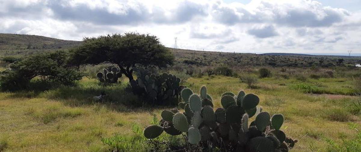 Foto de casa en venta en  , pabellón de hidalgo, rincón de romos, aguascalientes, 11233305 No. 05