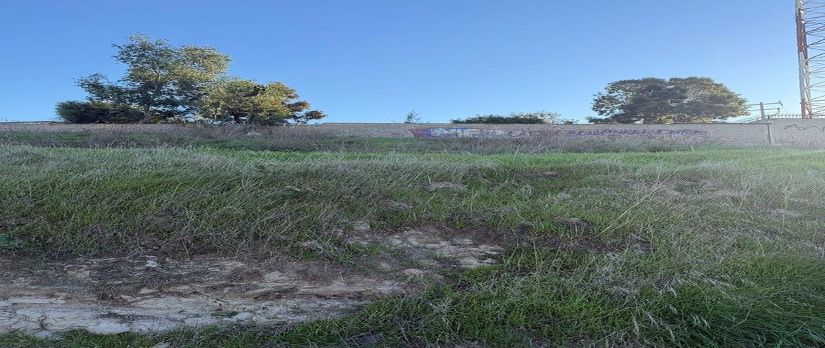 Foto de terreno habitacional en venta en pablo bonilla , plan libertador, playas de rosarito, baja california, 0 No. 05