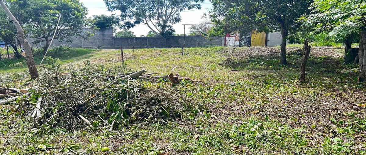 Foto de terreno habitacional en , pablo l. sidar (guineo), centro, tabasco, 0 foto 04 Foto de terreno habitacional en venta en , pablo l. sidar (guineo), centro, tabasco, 0 No. 04