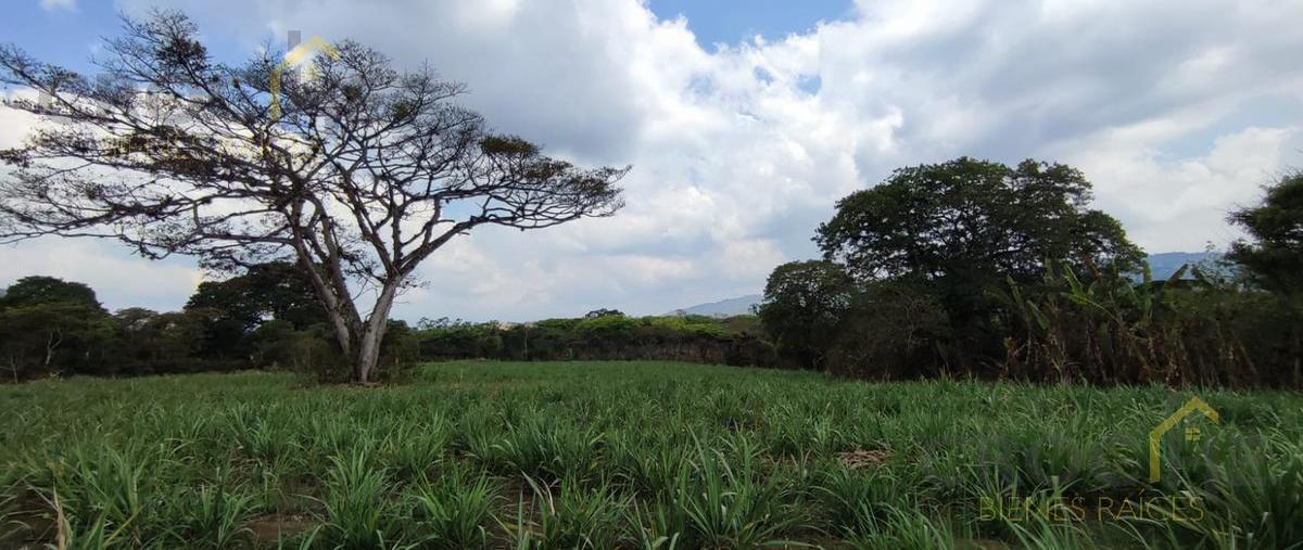 Foto de terreno habitacional en venta en  , pacho nuevo, emiliano zapata, veracruz de ignacio de la llave, 0 No. 03