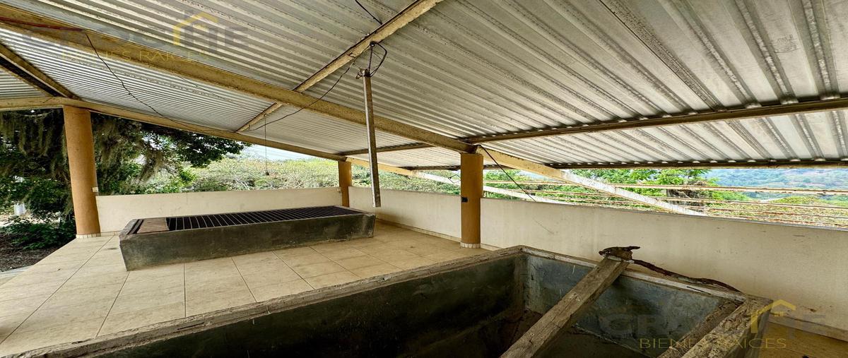 Foto de terreno habitacional en , pacho viejo, coatepec, veracruz de ignacio de la llave, 0 foto 04 Foto de terreno habitacional en venta en , pacho viejo, coatepec, veracruz de ignacio de la llave, 0 No. 04