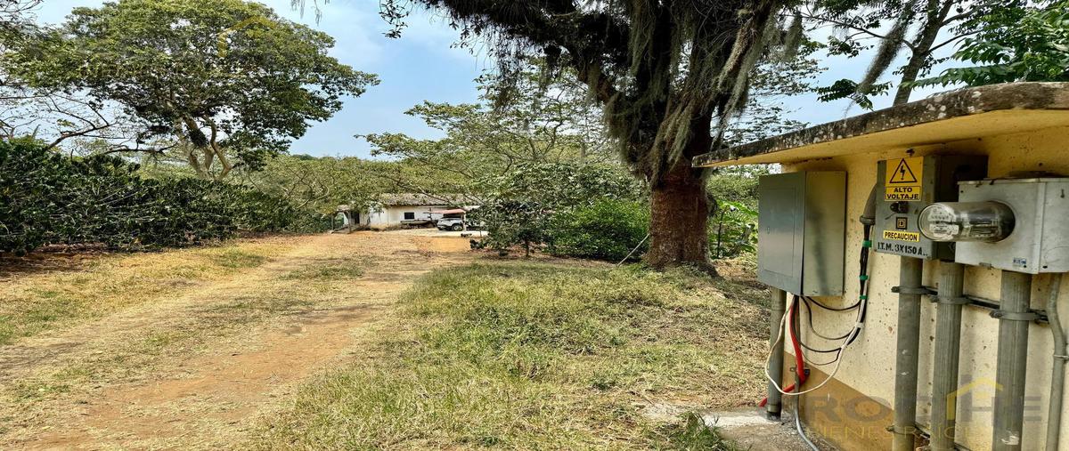 Foto de terreno habitacional en , pacho viejo, coatepec, veracruz de ignacio de la llave, 0 foto 05 Foto de terreno habitacional en venta en , pacho viejo, coatepec, veracruz de ignacio de la llave, 0 No. 05