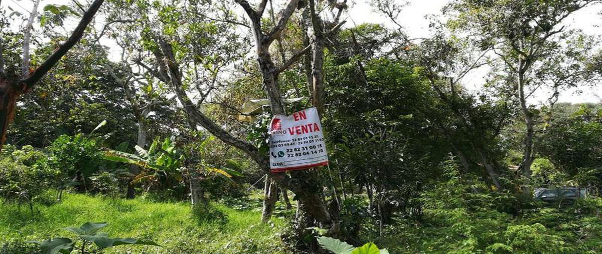 Foto de terreno habitacional en venta en  , pacho viejo, coatepec, veracruz de ignacio de la llave, 6697353 No. 03