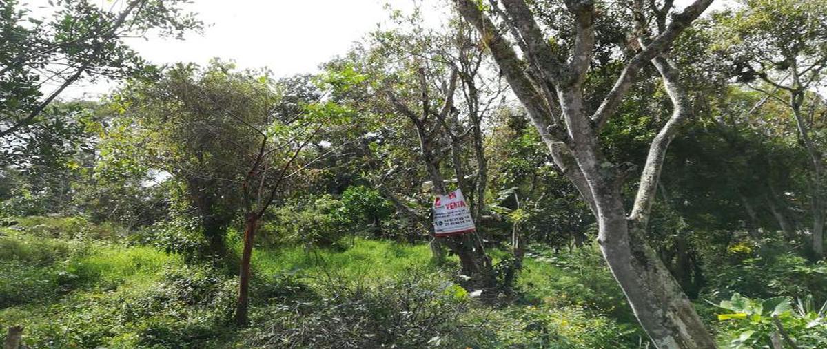 Foto de terreno habitacional en venta en  , pacho viejo, coatepec, veracruz de ignacio de la llave, 6697353 No. 04