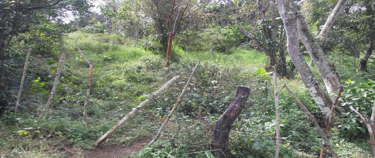 Foto de terreno habitacional en venta en  , pacho viejo, coatepec, veracruz de ignacio de la llave, 6697353 No. 05