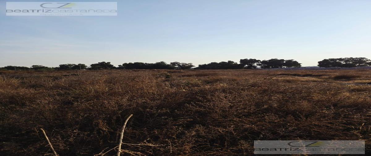 Foto de terreno habitacional en venta en  , pachuca 88, pachuca de soto, hidalgo, 0 No. 04