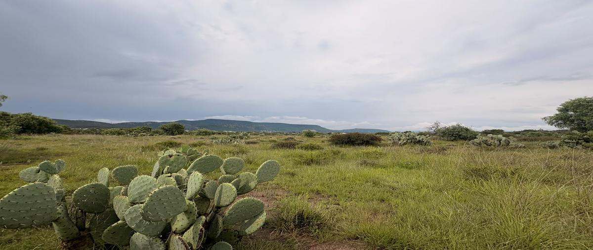 Foto de terreno habitacional en venta en pachuquilla , pachuquilla, mineral de la reforma, hidalgo, 31529641 No. 06