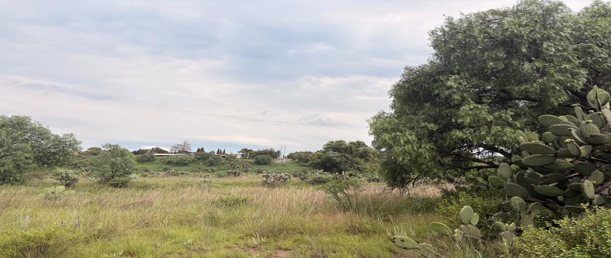 Foto de terreno habitacional en venta en pachuquilla , pachuquilla, mineral de la reforma, hidalgo, 31529641 No. 08