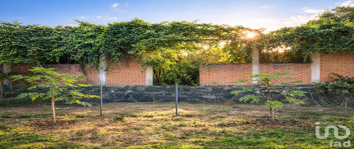 Foto de terreno habitacional en venta en pacífico , brisas, temixco, morelos, 30291488 No. 03