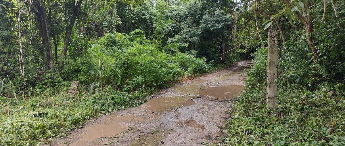 Foto de terreno habitacional en venta en  , pacto obrero campesino, othón p. blanco, quintana roo, 0 No. 03