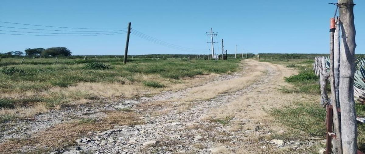 Foto de terreno habitacional en venta en  , padilla, padilla, tamaulipas, 27148486 No. 04