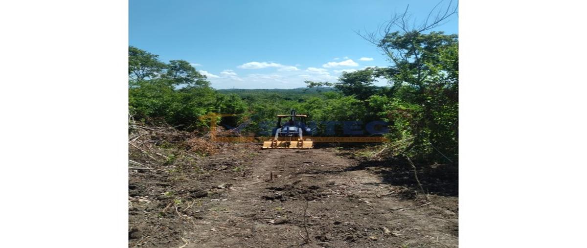 Foto de terreno habitacional en venta en  , pajaritos, tihuatlán, veracruz de ignacio de la llave, 27039454 No. 03