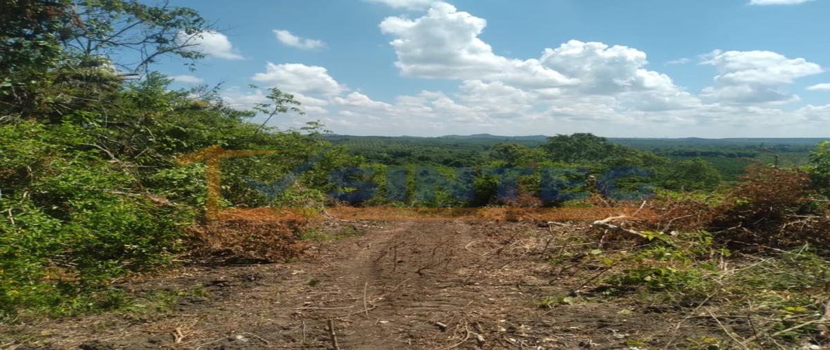 Foto de terreno habitacional en venta en  , pajaritos, tihuatlán, veracruz de ignacio de la llave, 27039454 No. 04