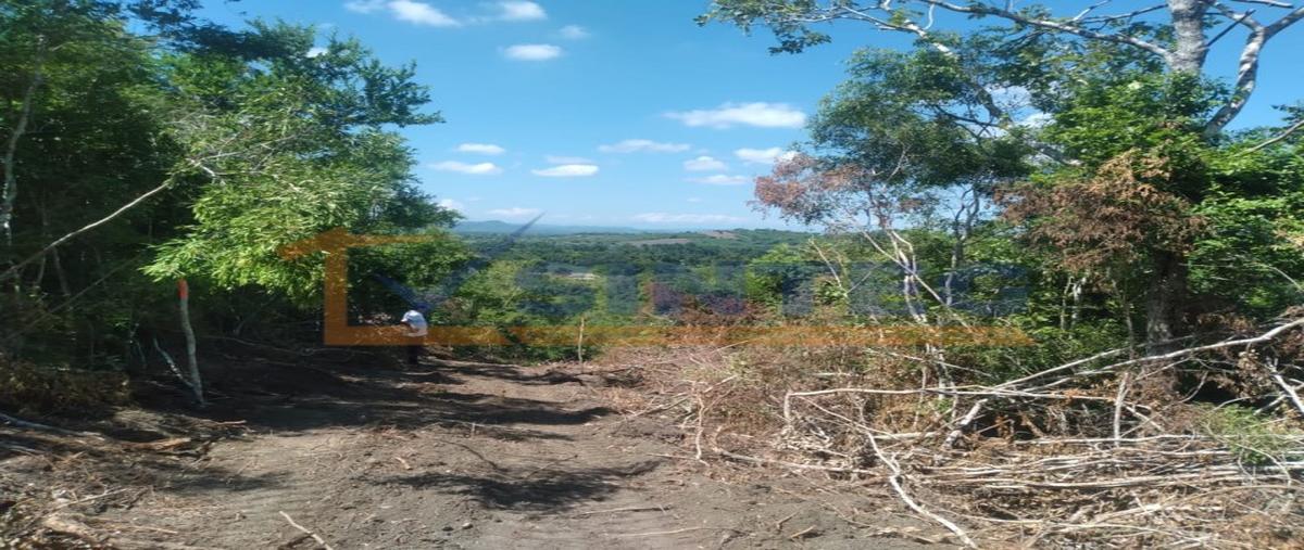 Foto de terreno habitacional en venta en  , pajaritos, tihuatlán, veracruz de ignacio de la llave, 27039454 No. 05
