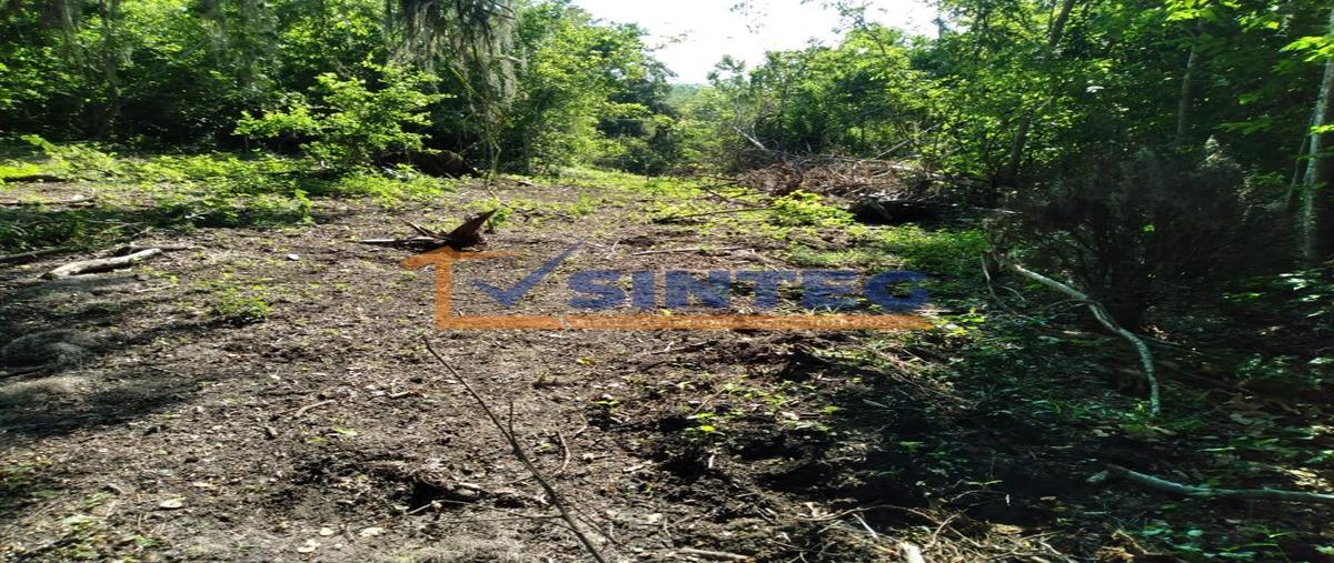 Foto de terreno habitacional en venta en  , pajaritos, tihuatlán, veracruz de ignacio de la llave, 28657500 No. 03