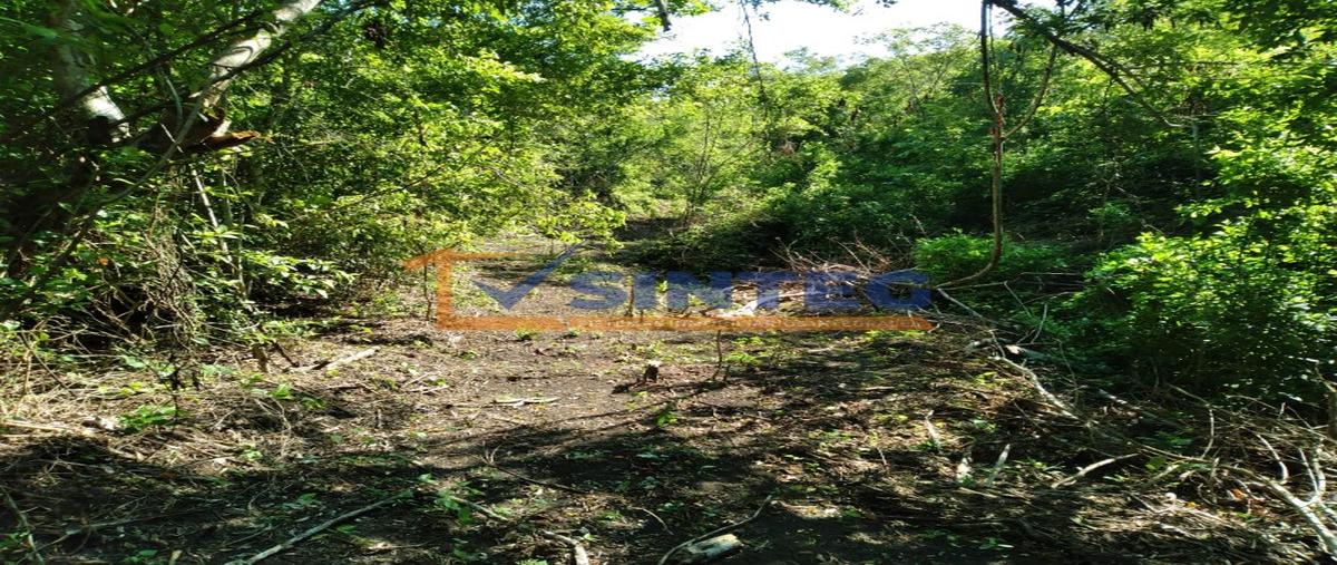 Foto de terreno habitacional en venta en  , pajaritos, tihuatlán, veracruz de ignacio de la llave, 28657500 No. 04