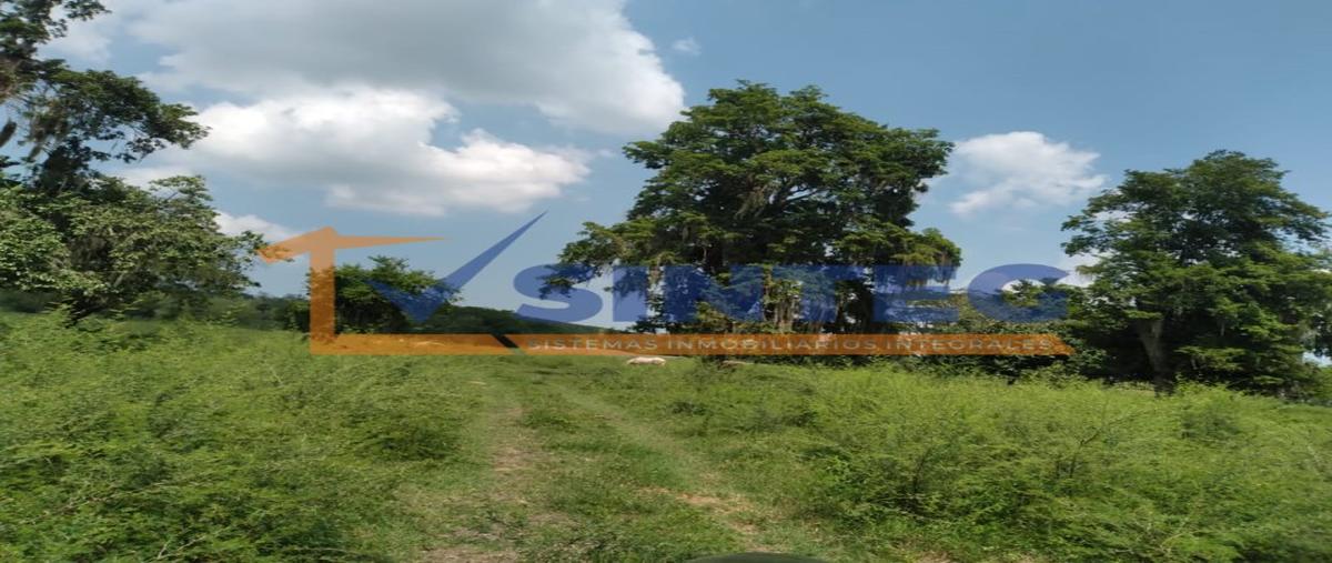 Foto de terreno habitacional en venta en  , pajaritos, tihuatlán, veracruz de ignacio de la llave, 28657500 No. 05