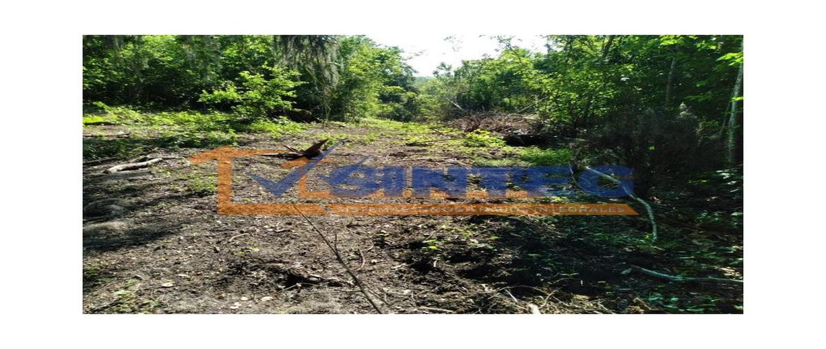 Foto de terreno habitacional en venta en  , pajaritos, tihuatlán, veracruz de ignacio de la llave, 30132201 No. 03