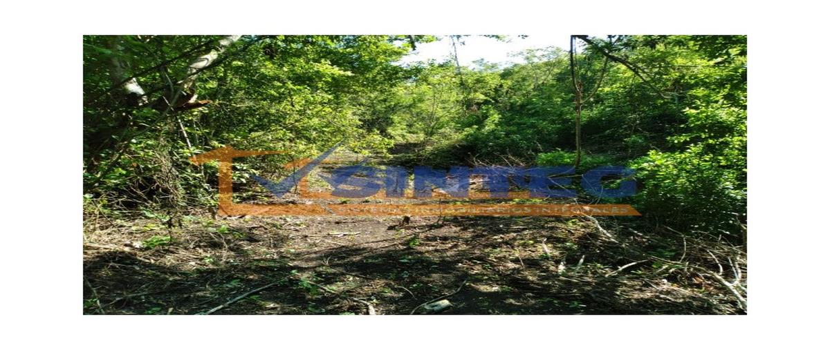 Foto de terreno habitacional en venta en  , pajaritos, tihuatlán, veracruz de ignacio de la llave, 30132201 No. 05