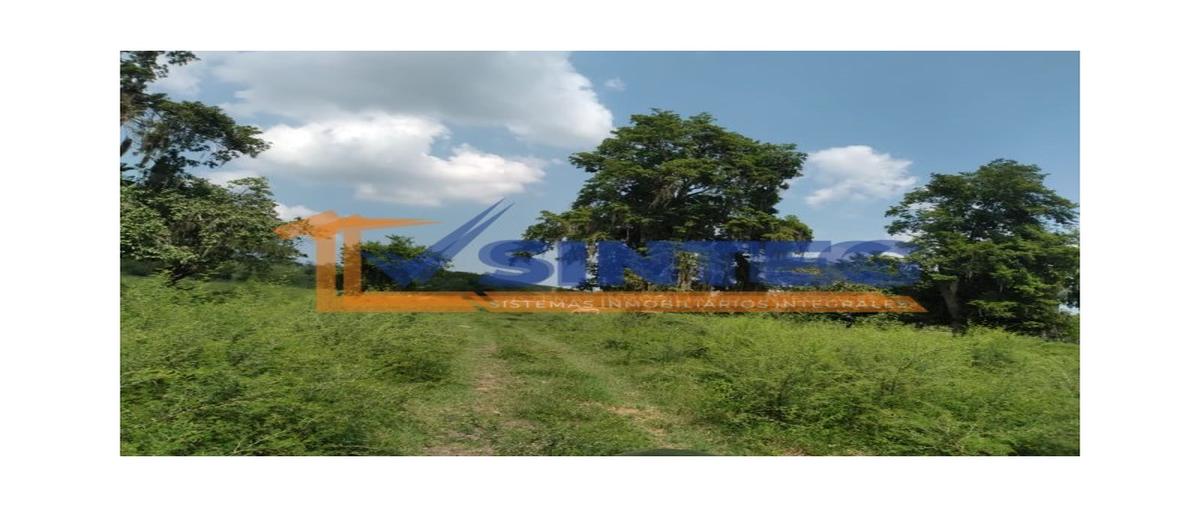 Foto de terreno habitacional en venta en  , pajaritos, tihuatlán, veracruz de ignacio de la llave, 30132226 No. 04