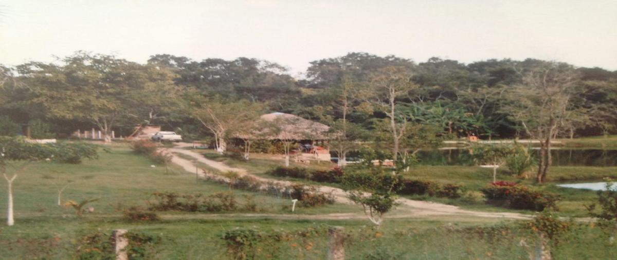 Foto de terreno habitacional en , pakal-na, palenque, chiapas, 0 foto 01 Foto de terreno habitacional en venta en , pakal-na, palenque, chiapas, 0 No. 01