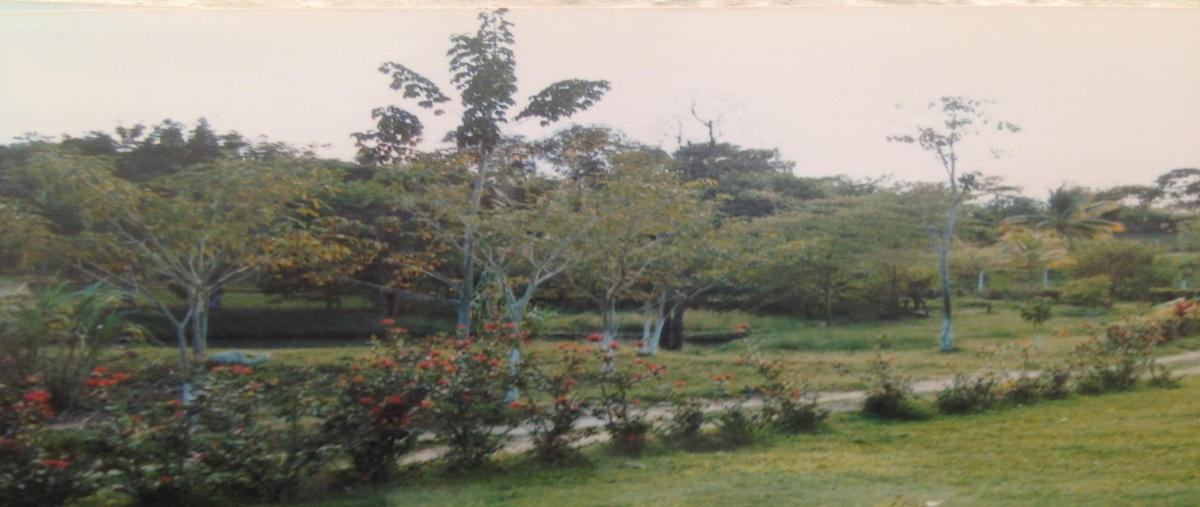 Foto de terreno habitacional en , pakal-na, palenque, chiapas, 0 foto 03 Foto de terreno habitacional en venta en , pakal-na, palenque, chiapas, 0 No. 03