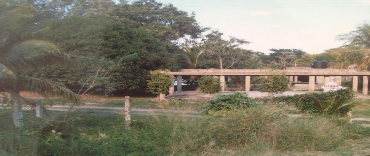 Foto de terreno habitacional en , pakal-na, palenque, chiapas, 0 foto 04 Foto de terreno habitacional en venta en , pakal-na, palenque, chiapas, 0 No. 04